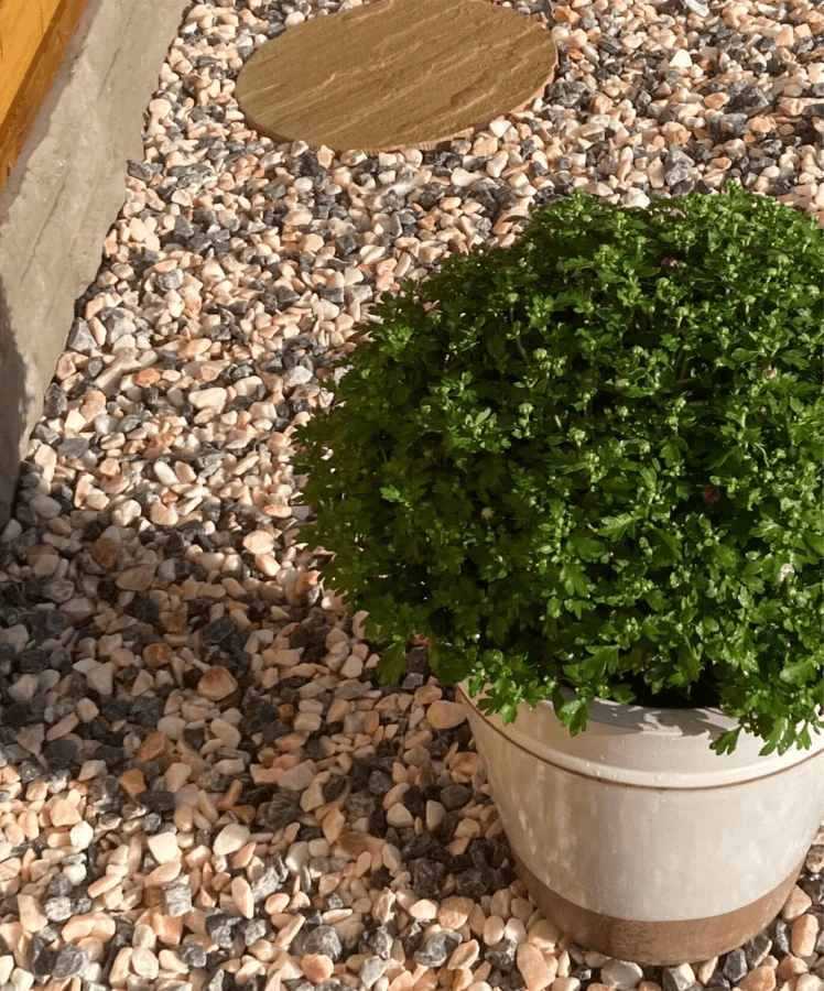 Carnival Pink Marble Gravel Chippings 20mm - 800kg Bulk Bag - Image 2