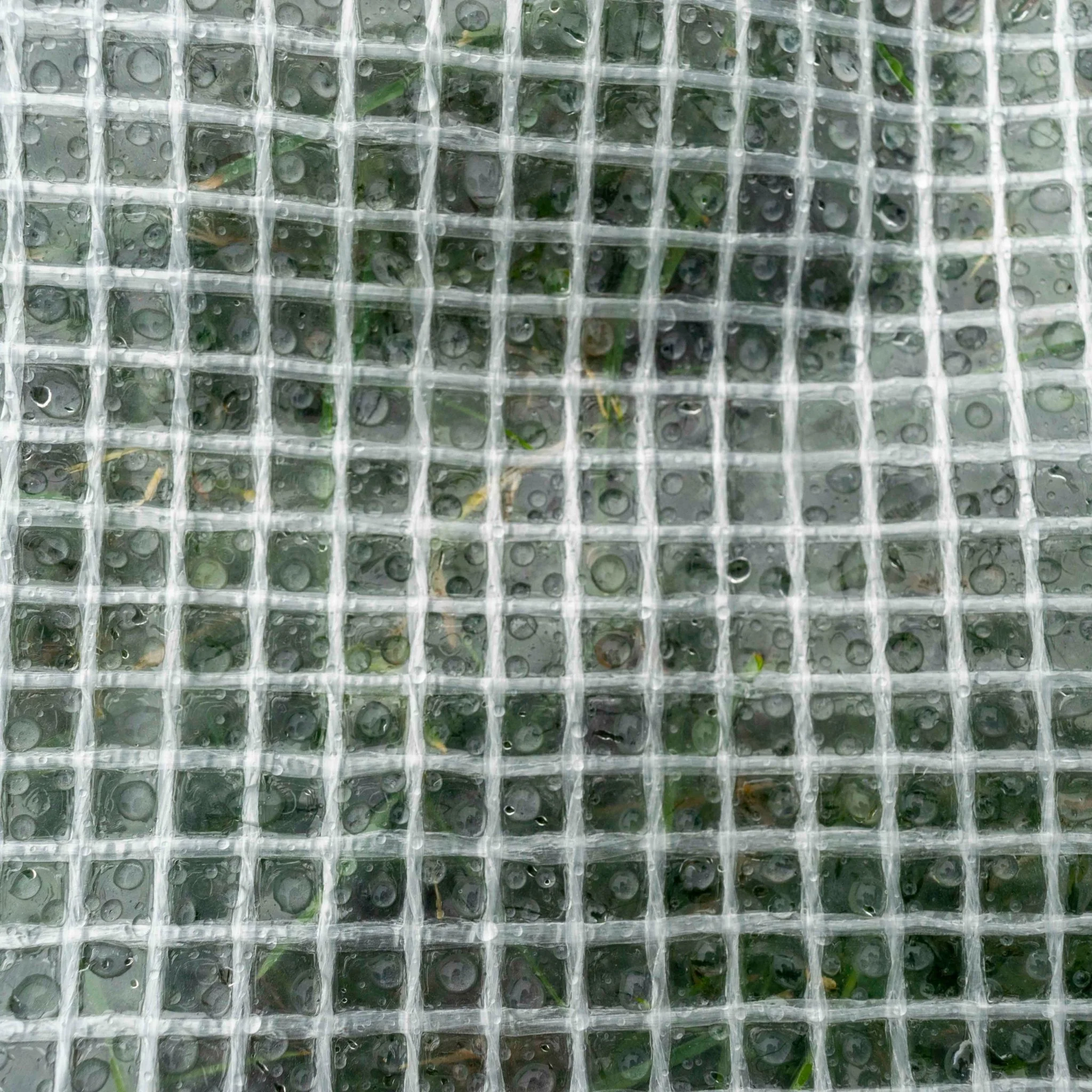 Clear M-Grade Tarpaulin with 10 Metres of 8mm Bungee Rope - Image 9