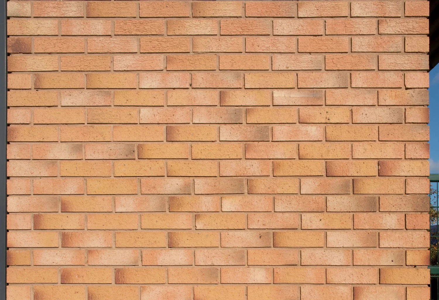 Carlton Flamborough Gold Brick 65mm - Image 6