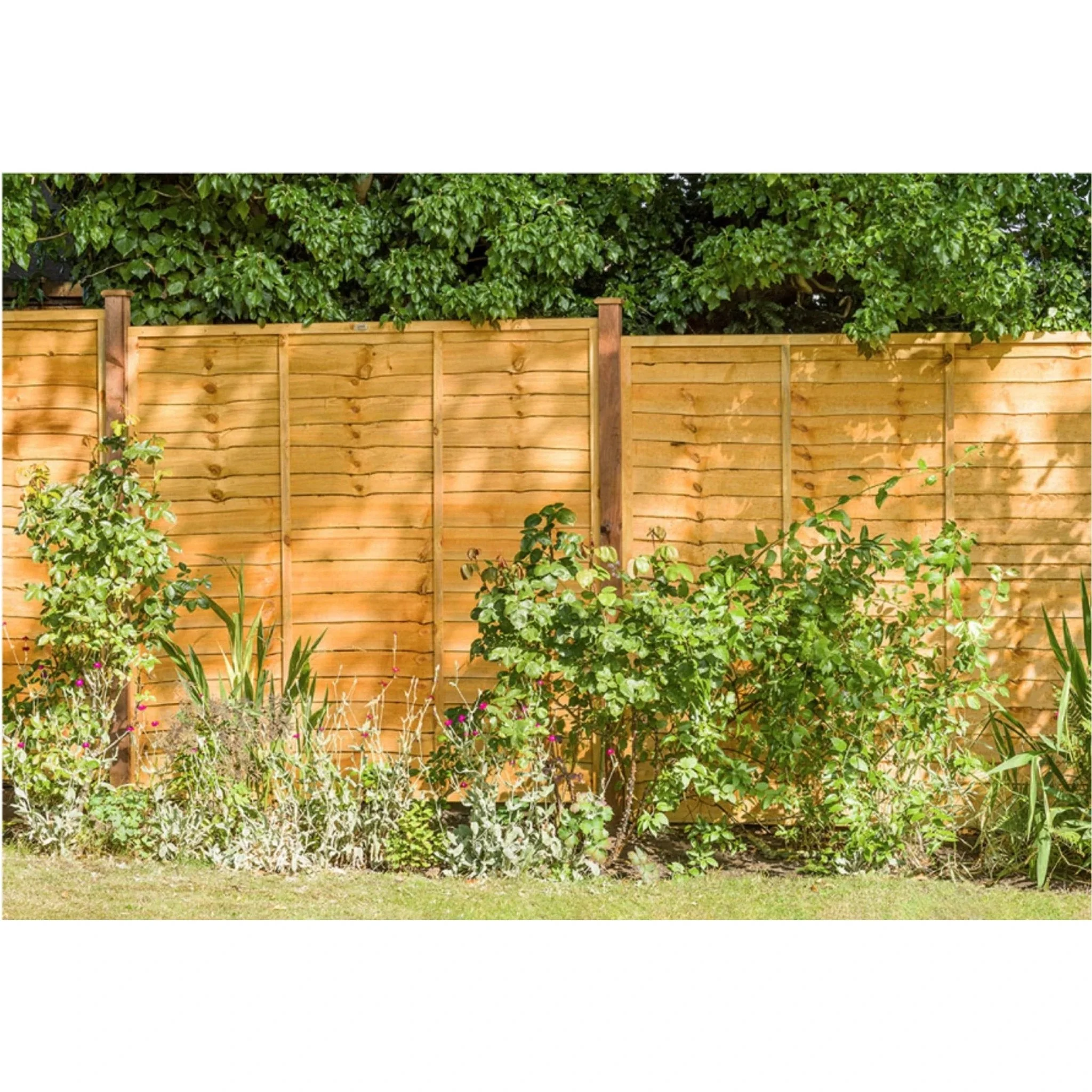Garden Fence Panels Superior Lap in Packs 1828mmx 1200mm (6ft x 4ft) - Image 3