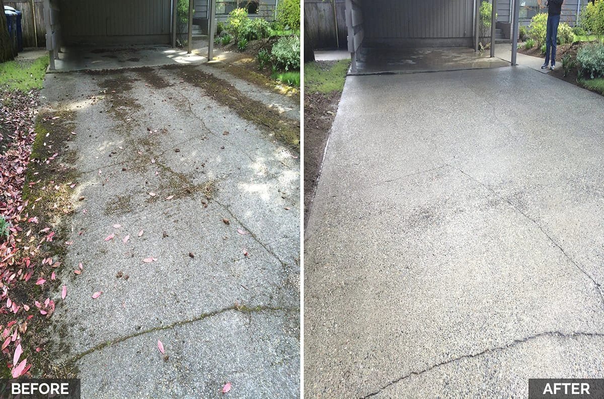 Hypo SuperFoam+ (Blackspot Remover) Softwash Solution - Image 6