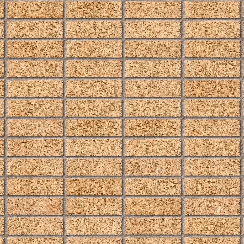 Ibstock Anglian Buff Multi Rustic Brick 65mm - Image 9