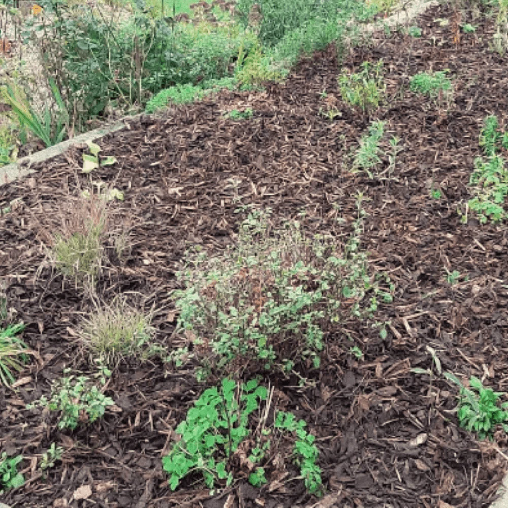Landscaping Garden Bark Mulch - Image 8