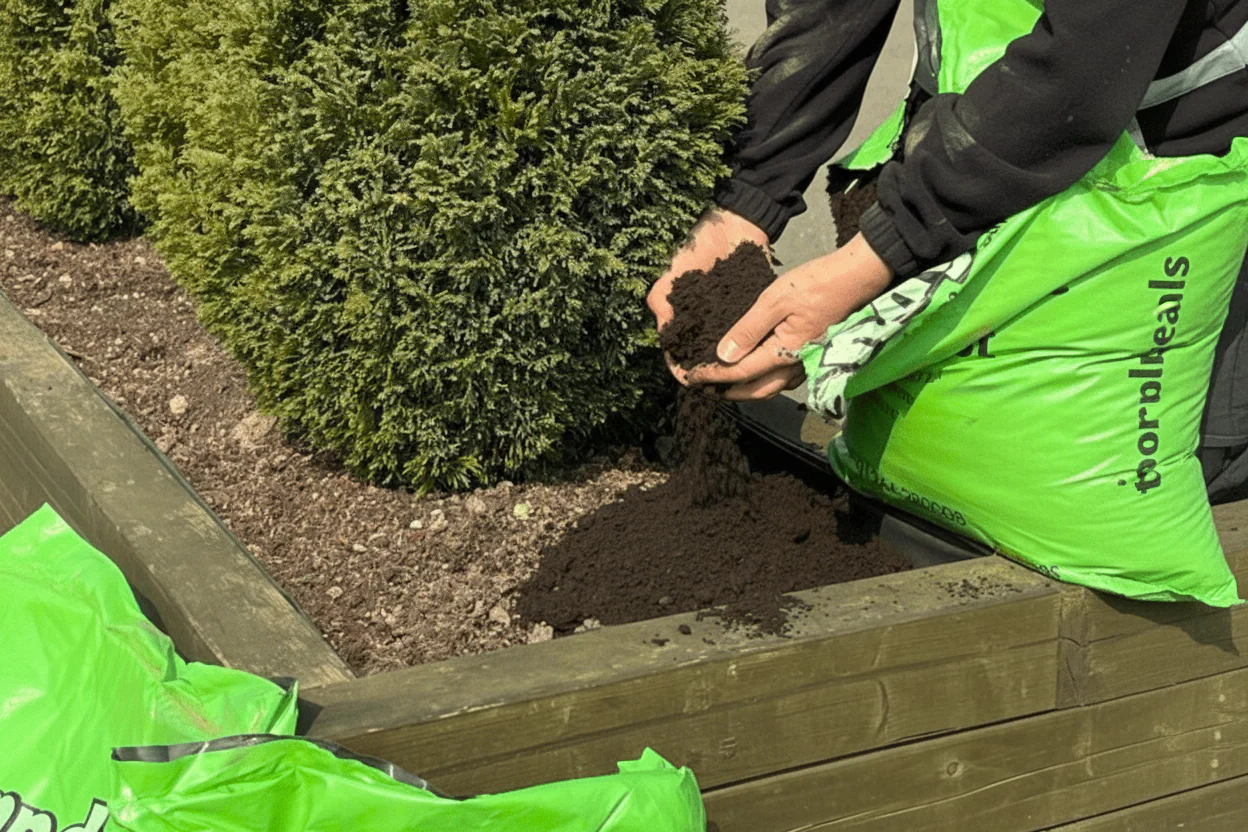 Multi Purpose Welsh Compost - Image 3