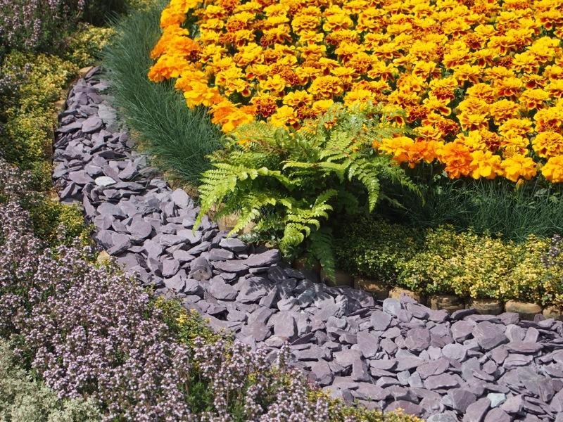 Plum Welsh Slate Chippings 40mm 25/50 20kg Bags - Image 6