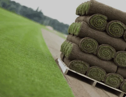 Premier Lawn Turf *Bulk Buy* - Image 7