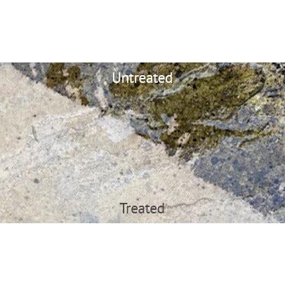 ProJoint  Black Spot and Algae Remover 5L - Image 2